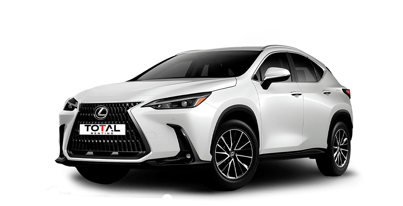 LEXUS NX Hybrid Business4wd 1 | Total Renting